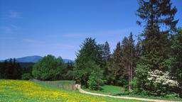Slaskie hotels