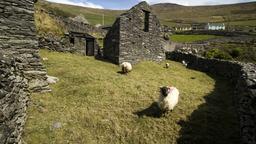 Dingle Peninsula vacation rentals