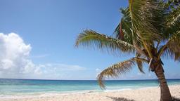 Trelawny hotels
