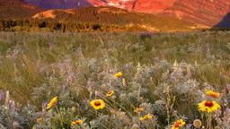 Glacier National Park vacation rentals