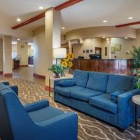 Comfort Suites Airport South